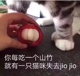 被章子怡狂批的徐璐竟然在舞台上吐了