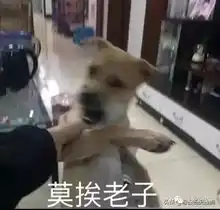 你说你在外面养了哪个狐狸精