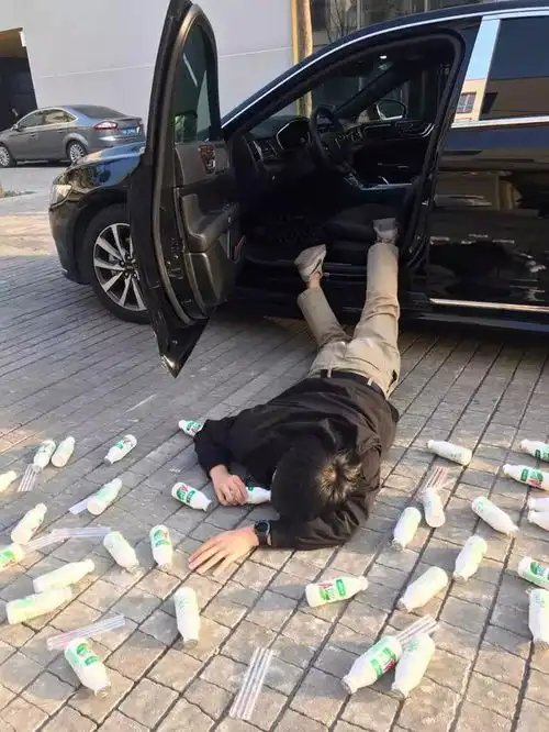搞笑斗图表情包你是头七彩猪