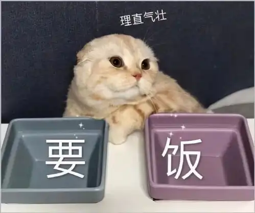 大学生花式要生活费走红,父母十感然拒,网友你妈还要干儿子吗