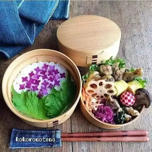 这是家里有矿吧这个日本妈妈做的便当引来大量网友围观