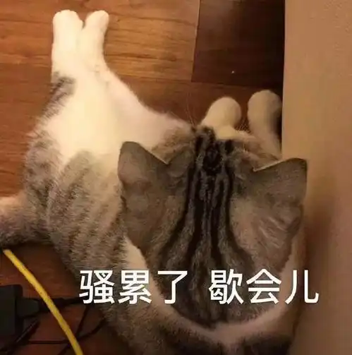 斗图表情包猪肥猪