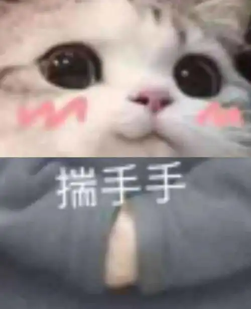 大学生的搜索词条竟然是