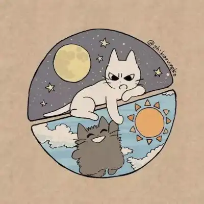 猫猫动漫头像可爱画师