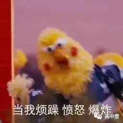 蚊子飞到10楼,是因为它们会按电梯