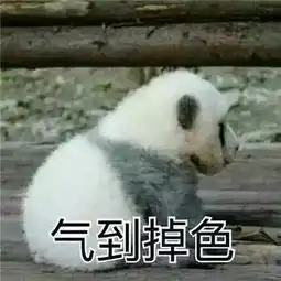 熊孩子半夜开走两架飞机这是要上天哪