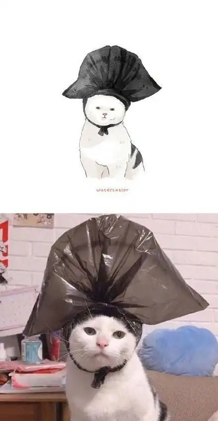 画家用漫画还原沙雕猫咪,不说毫不相干吧,起码是一模一样
