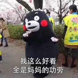 这是一个第一次跟团去越南芽庄踩过的