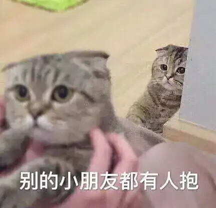 nononono猫表情包涨水