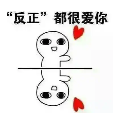 做一只努力的猫