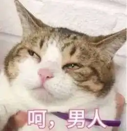 男人下班不回家,多半是去搞这个了...