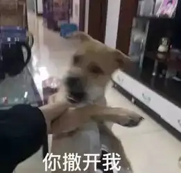 佰佰安全网脱把骑车大妈一路击掌前行21个车标车牌好几个8这辆车你认识吗