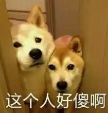 刚打好水准备洗车,男子中途上了个厕所,回头一看直接炸毛
