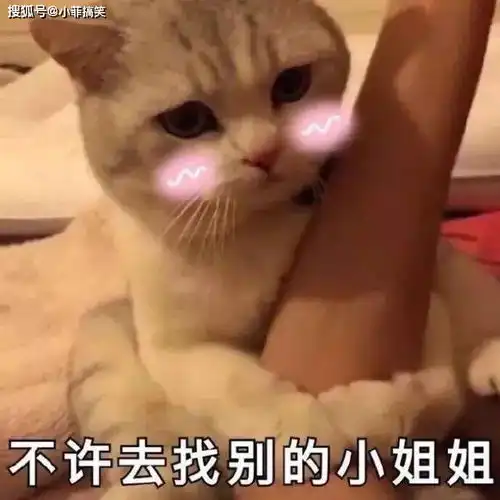 搞笑gif趣图遇到这样的男朋友就嫁了吧对你多好啊