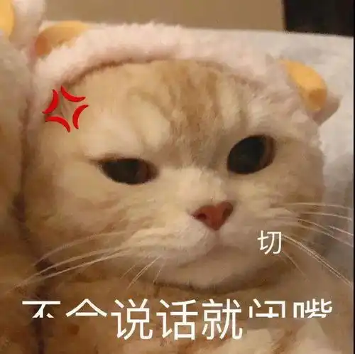 橘猫沙梨表情包