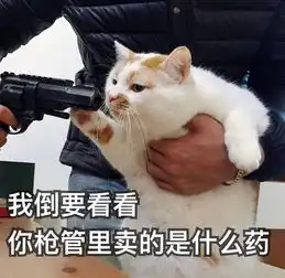 你见过哪些脑残的粉丝行为