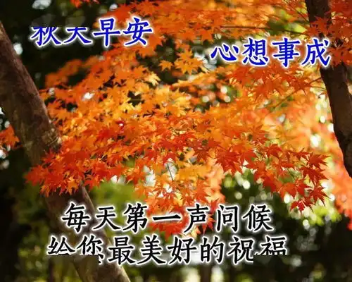 7张最新秋天变冷早上好关心带字图片秋日早安问候暖心祝福语图片带字精选
