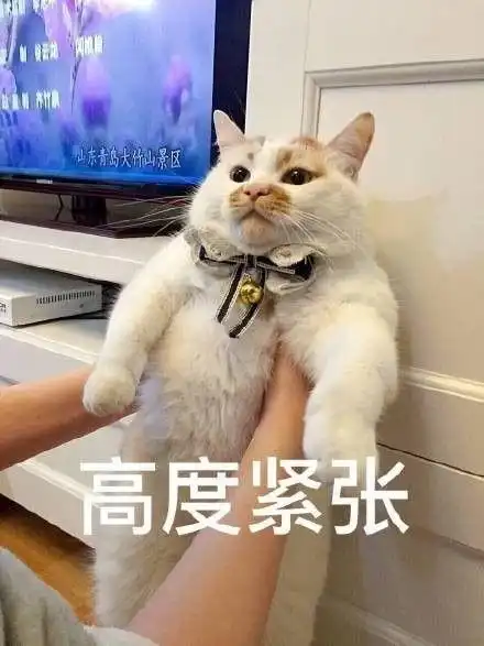 大家教资面试都抽到了什么题
