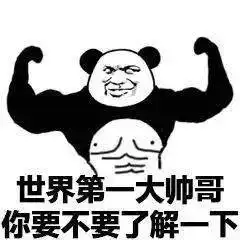 沙雕熊猫头表情包来啦,敲可爱