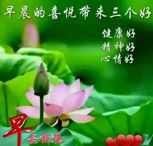 甜蜜时,你是我的宝贝无聊时,你是我的猫咪早安安康