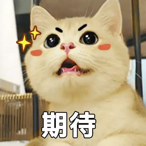 过年带猫回家,猫跟我爸学会了打麻将