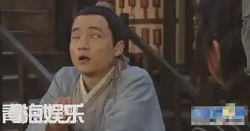孙俪小s赵薇张柏芝盘女星掉节操表情雷死人