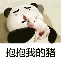 斗图表情包猪搞笑gif
