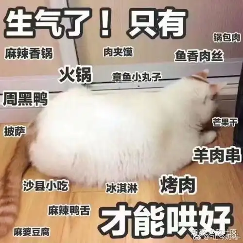 有没有适合谈恋爱的表情包