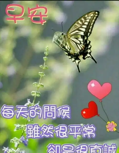 问候表情包小暑最美的问