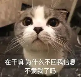 斗图小表情3.31