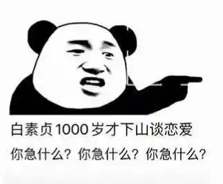 近期抖音最火熊猫表情