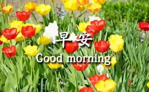 11月4日早安朋友,愿你在远方一切平安,快快乐乐,万事如意生活