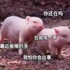 超级沙雕熊猫头表情图老子顺着网线来打你了,有种别跑