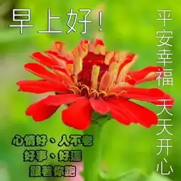 正能量早晨心语图片动态微信问候早安表情包