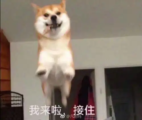 微信超长刷屏表情包狗头