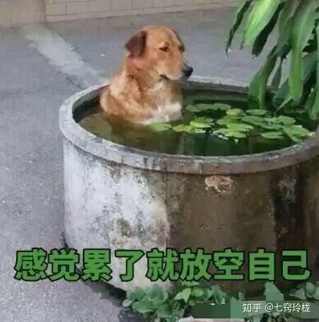 第一次浙江选考可以不参加吗