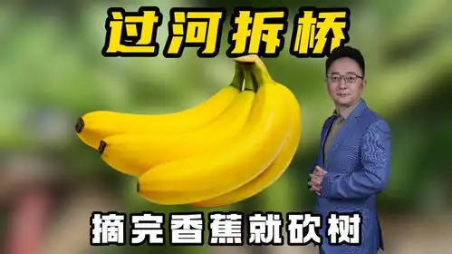摘完香蕉就砍树,这可不是过河拆桥