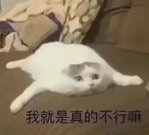 表情包谈什么恋爱,还是读书吧