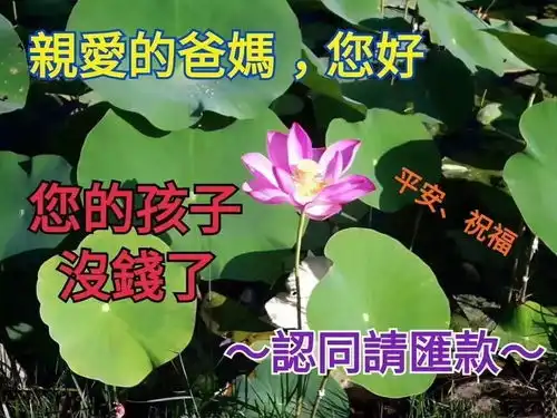 双十一后要饭保命秘籍,学会就不用吃土啦