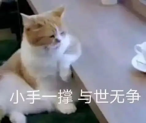 大家觉得不考虑房贷,结婚生子,存够多少钱就可以...