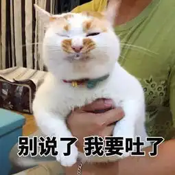 我的表情包去世了搜狐宠物搜狐网