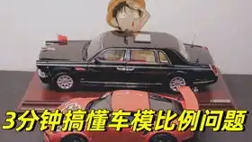 车模2020年1月入坑车模收藏记录