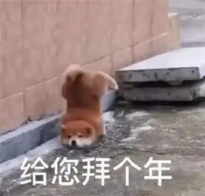 蚌埠人都这么过年南方人北方人都惊呆了