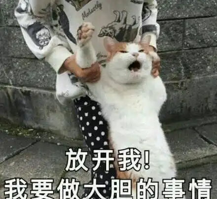 斗图表情包潜水视神经