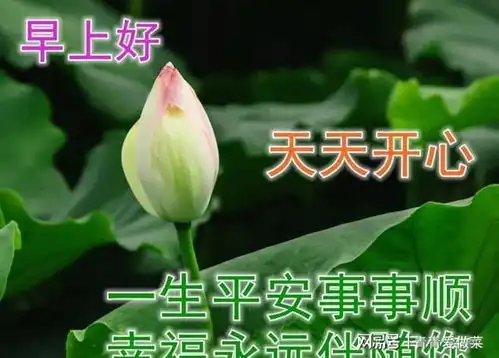 周五最新早上好问候动态表情图片最美的早安问候图片带字