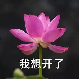 补习班正在毁掉你的孩子暑假做对一件事,孩子成绩暴增