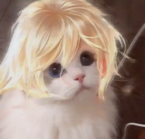 猫猫动漫头像可爱王者荣