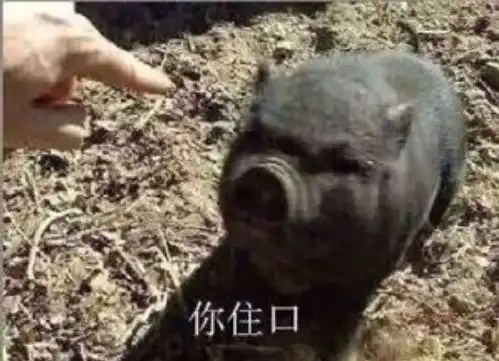 其实自从我当上了高中老师以后我就再也看不下任何...