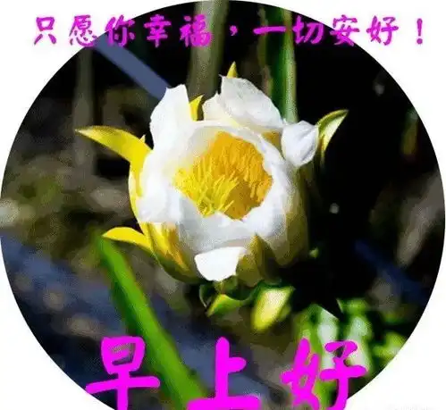 4月30日非常有创意的简短问候语,美丽漂亮表情包带暖心祝福语