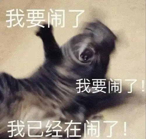 适合谈恋爱的时候用的表情包